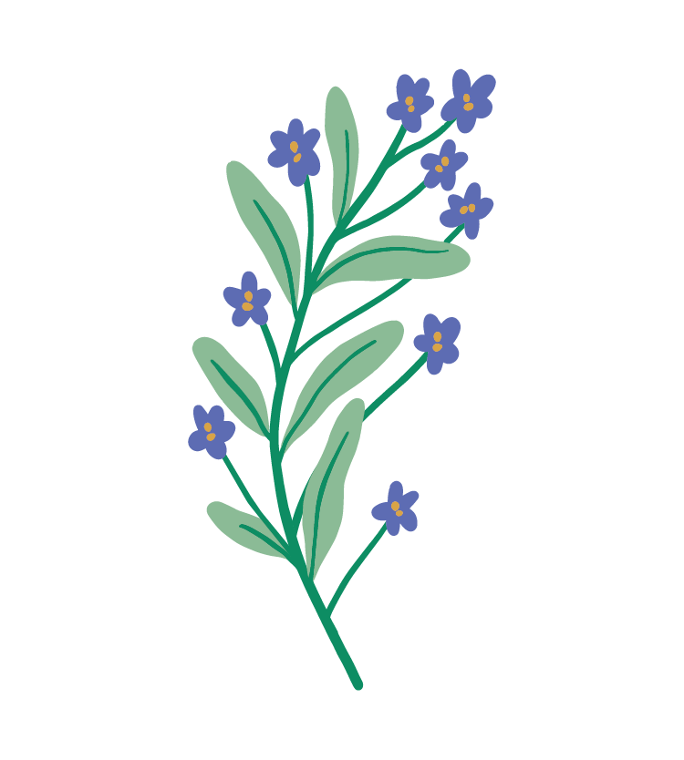 strong-light-flowers-09