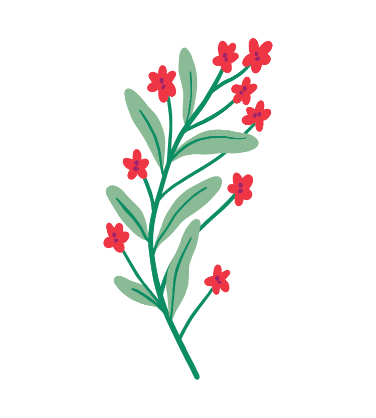 strong-light-flowers-09a