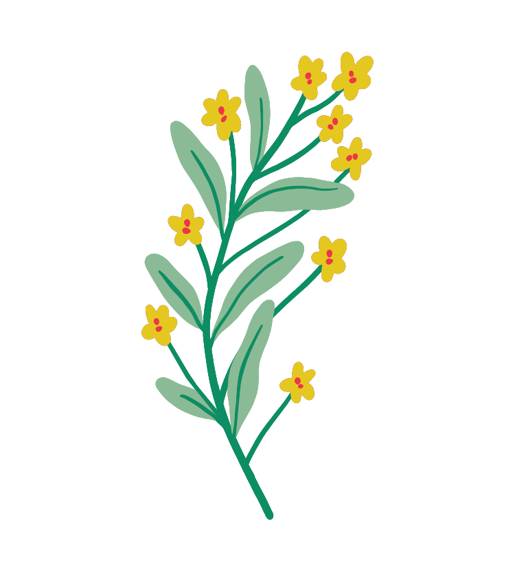 strong-light-flowers-09b