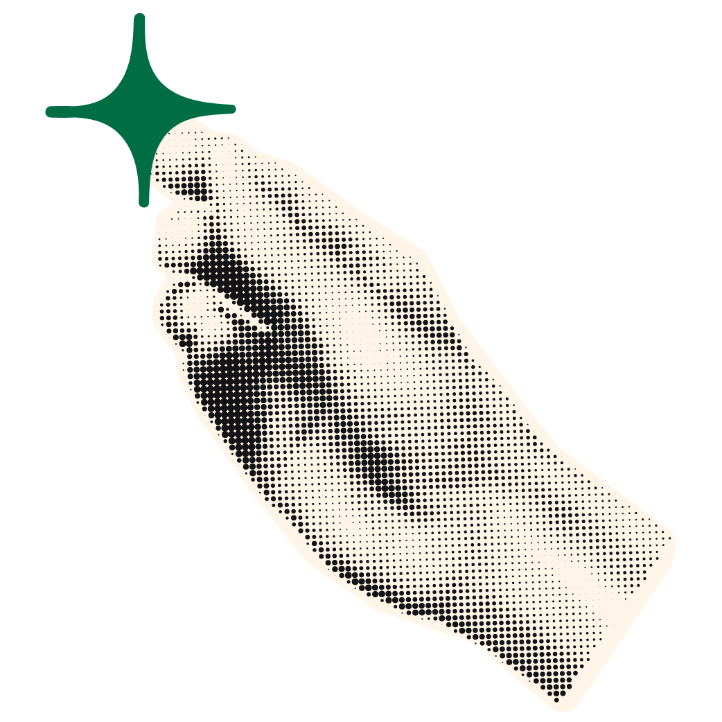 walder-studio-2025-01