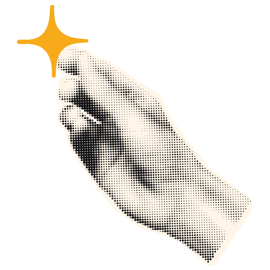 walder-studio-2025-01b